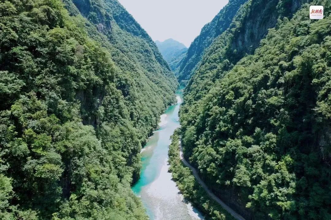 DƬ